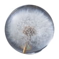 thumbnail image 1 of Moyic Bola de cristal de diente de león, materiales de resina de estilo único, de bola de diente de león de cristal exquisita Kits de experimentos de química Tipo1 7cm, 1 of 6