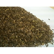 10,000 Phalaris Arundinacea Seeds Reed Canary Grass