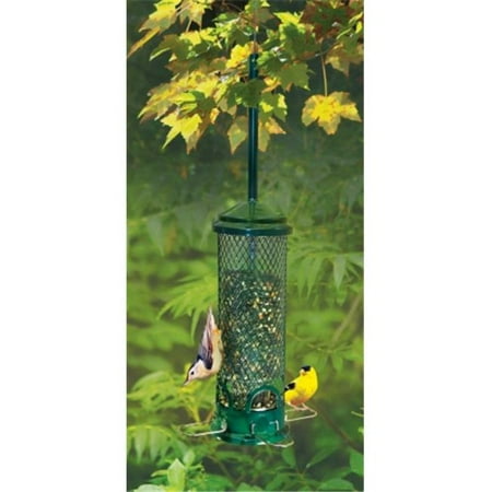 Brome Bird Care Bd1055 Squirrel Buster Mini Walmart Canada
