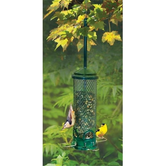 Brome Bird Care BD1055 Squirrel Buster Mini