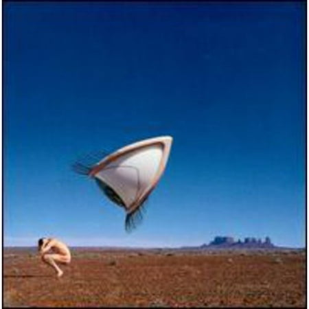 Bury The Hatchet [Clean Cover]