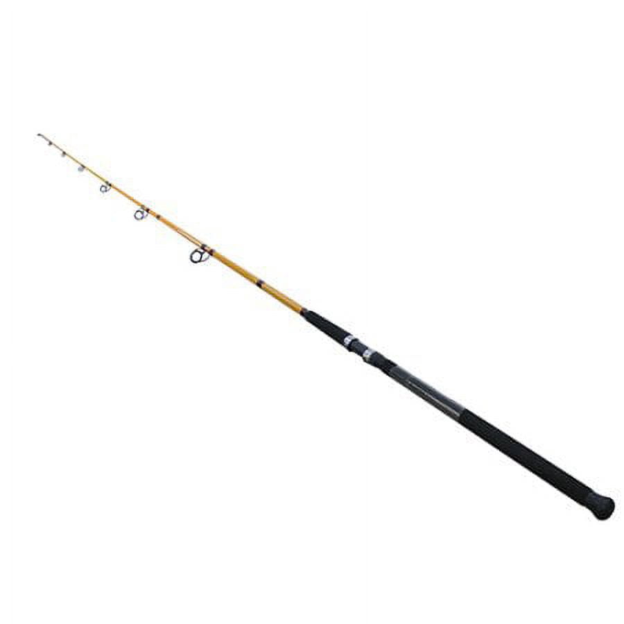 Daiwa FTS1102MFS Surf Fishing Rod, 11' Medium Power, Fast Action, EVA Grips