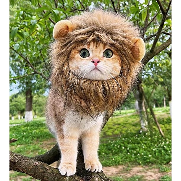 Peluca de melena de león ajustable, lavable y cómoda para gato, disfraz de león para mascota. Vestuario elegante y divertido para Halloween, Navidad, Pascua y fiestas. (Marrón)