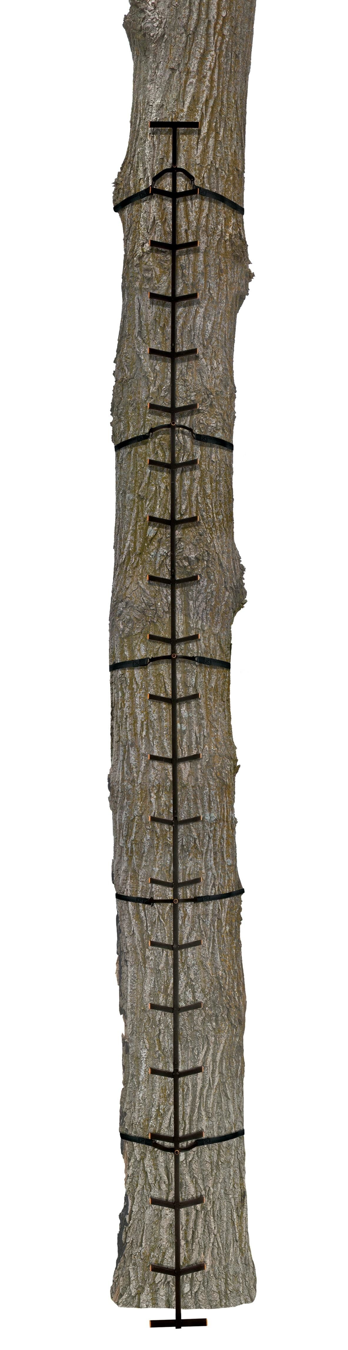 Muddy Treestands MCS0120 Quick Stick XL Climbing System for sale online 