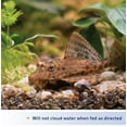 thumbnail image 4 of Aqueon Bottom Feeder Tablets [Aquarium, Foods Pelleted] 3 oz, 4 of 5