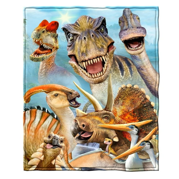 Dawhud Direct | Super Soft Fullqueen Size Plush Fleece Blanket 75" X 90"