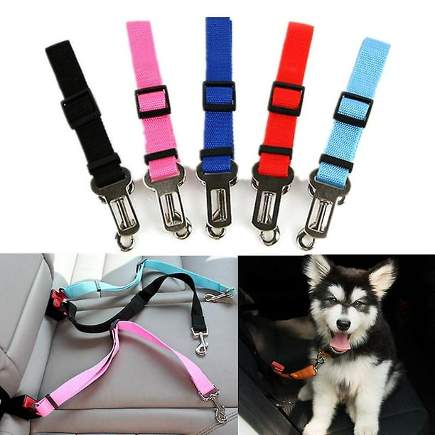 Pet belt discount