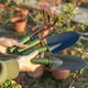 thumbnail image 3 of Hogar y cocina, Herramientas para el hogar, Juegos de herramientas, Juego de herramientas de jardinería, Herramientas de jardinería de acero con mango antideslizante de goma suave, Herramientas manual, 3 of 8