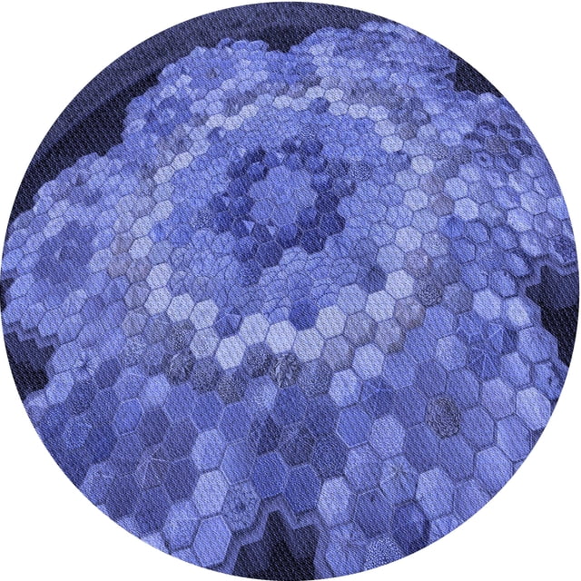 Ahgly Company Tapis d'Intérieur Ronds Transitionnels Bleu Ciel Lavables à la Machine, 3 Pieds Rond