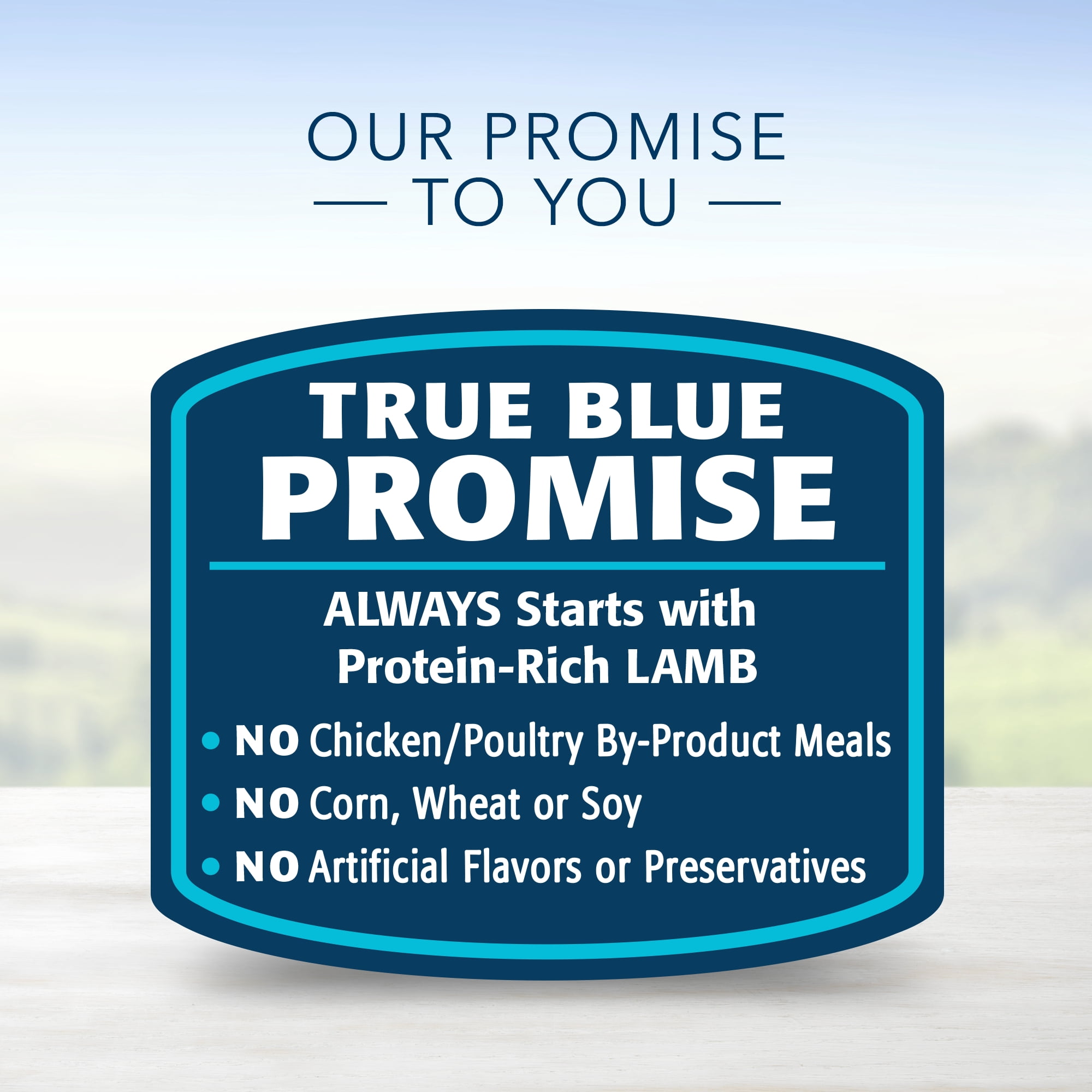 blue buffalo lamb canned dog food