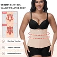 thumbnail image 3 of ANYFIT WEAR Women Waist Trainer Cincher Tummy Control Shapewear Girdle Postpartum Belly Band Back Support Body Shaper Trimmer Belt, 3 of 6