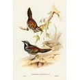 thumbnail image 2 of Gould, John 17x24 Gold Ornate Wood Framed with Double Matting Museum Art Print Titled - Chestnut-backed Groud Thrush-Cinclosoma castanotus, 2 of 4