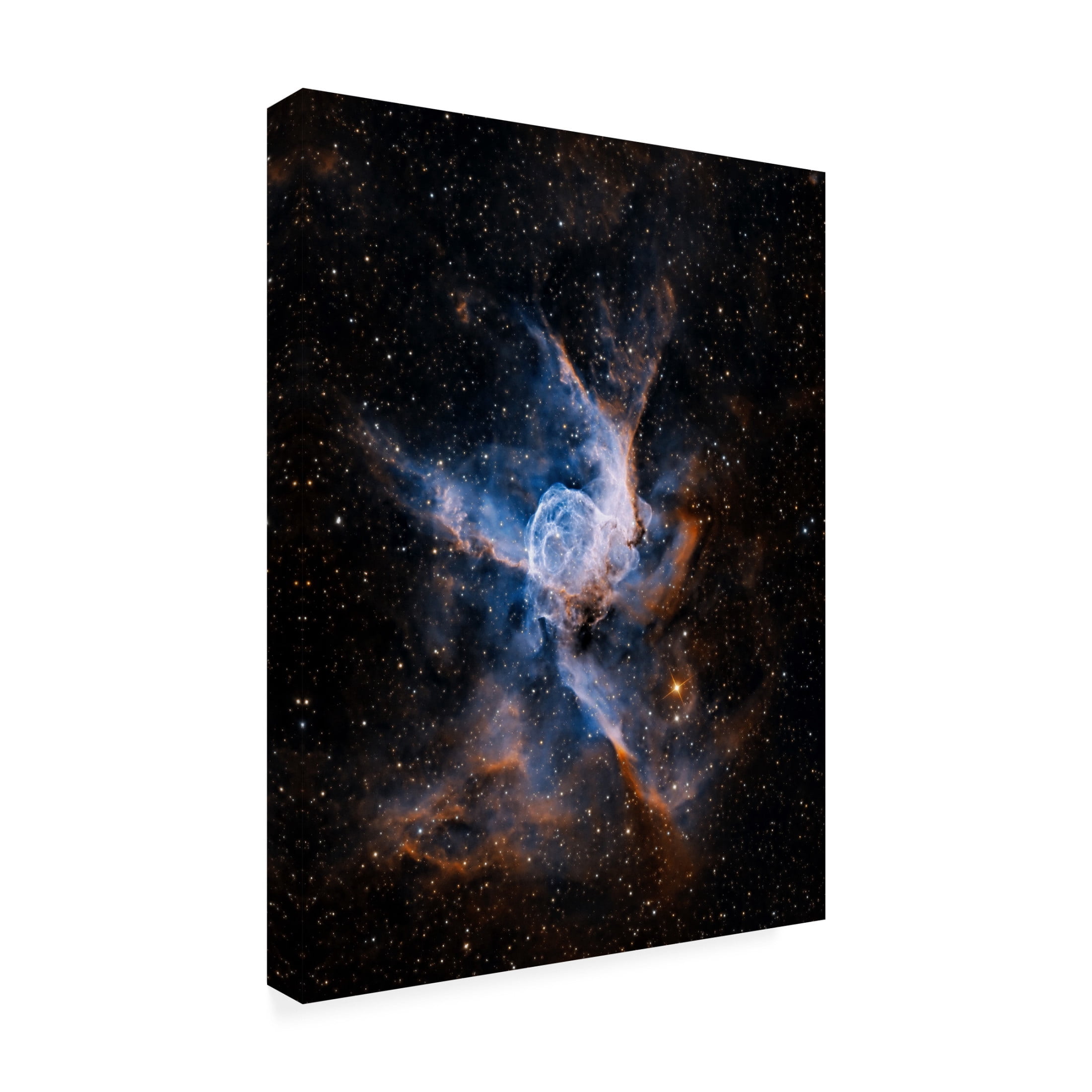 Trademark Fine Art Vikas Chander Thor's helmet Canvas Wall Art
