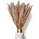 thumbnail image 1 of WHITE LUXURY - Pampasgras klein als Trockenblumen EIN Hingucker - ewig haltbares Pampasgras getrocknet für Trockenblumen Deko - Pampasgras Deko & getrocknete Blumen - Trockenblumenstrauß Vase (Beige) Zhivalor OTTO-HR-0949, 1 of 6