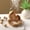Golden, variant on 1pc Lotus-Shaped Incense Cone Burner, Multipurpose Home Decor Item Suitable for Yoga & Meditation