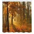 thumbnail image 3 of Ambesonne Fall Shower Curtain, Misty Autumnal Forest, 69"Wx75"L, Orange Brown Green, 3 of 3