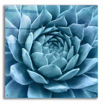 Epic Art 'Silvery Blue Agave' by Jan Bell Acrylic Glass Wall Art, 36"x36"