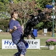 thumbnail image 3 of Hyperflite K-10 Jawz Puncture Resistant Dog Flying Disc, 8.75-inch, for Large Dogs, 3 of 7