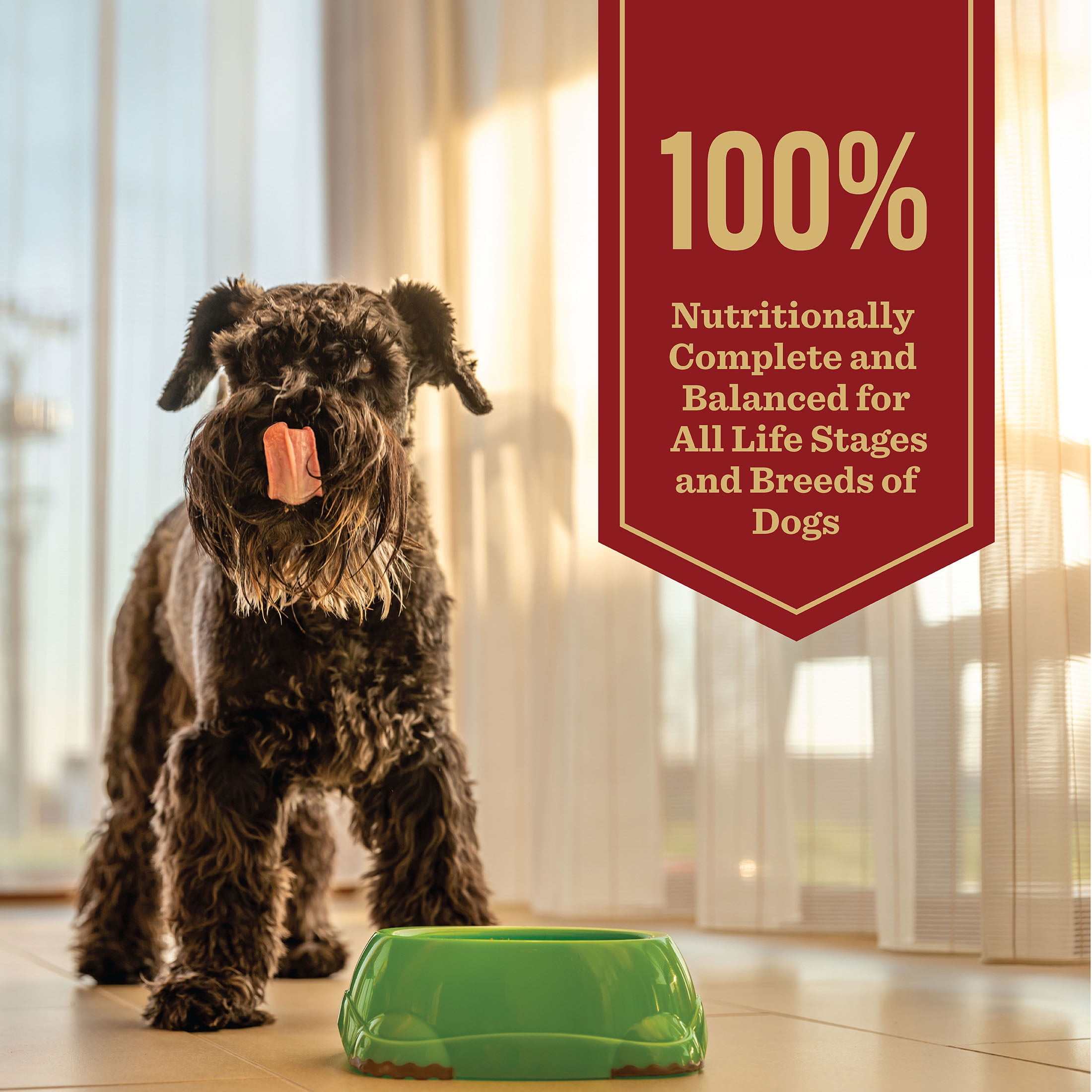 (3 pack) Dr. Pol Incredi-Pol Favorites Beef and Brown Rice Recipe Dog Food, 24lb