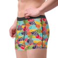 thumbnail image 3 of Rateoe Colorful Fish 2 Mens Boxer Briefs Poly Spandex Performance Boxer Briefs Underwear Hem Boxer Briefs - Small, 3 of 8