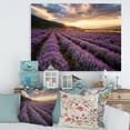 thumbnail image 2 of Designart ' Dramatic Clouds and Sunrise Over Lavender Field VI ' Farmhouse Canvas Wall Art Print, 2 of 4