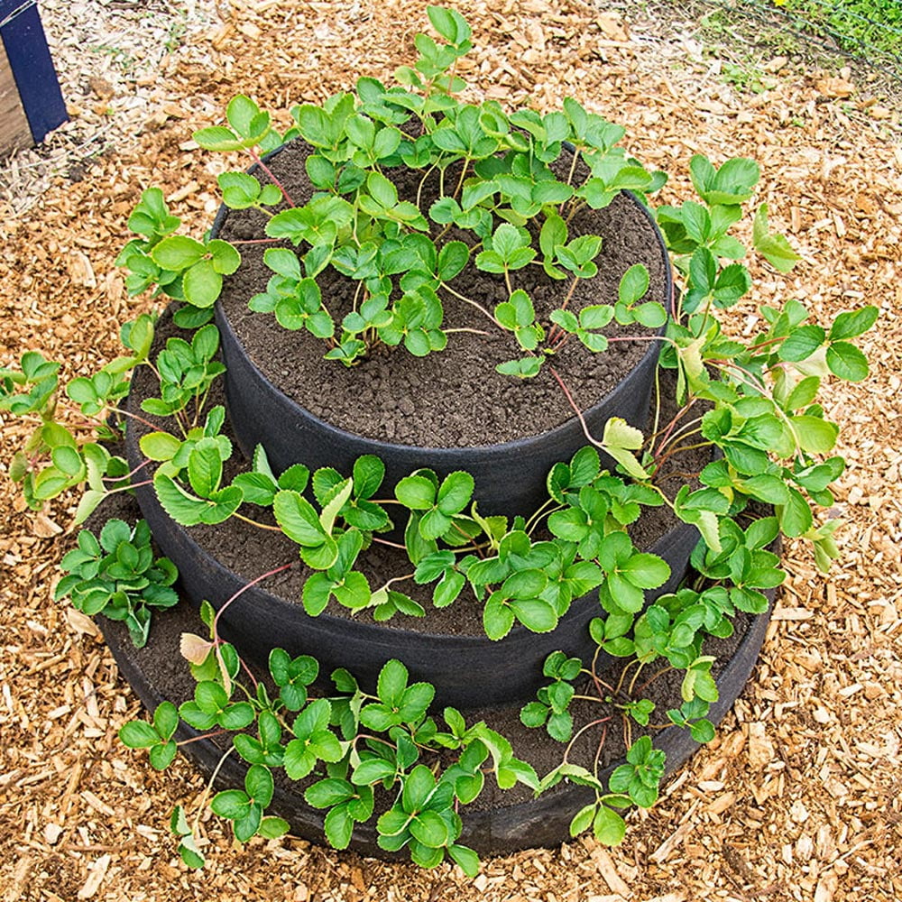 Gardens Alive! Geo-Textile Grow Tub 3-Tiered Strawberry Planter - Hold 25+ Plants - 24 In tall x 36 In Diameter