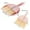 Pink, variant on Leutsin Mini Dustpan Set ,Dustpan and Broom Set Small,Mini Handheld Dust Pan with Cleaning Brush Combo for Home Desktop, Sofa, Pet Care Household,Camping,Small Whisk Hand Broom and Dust Pan