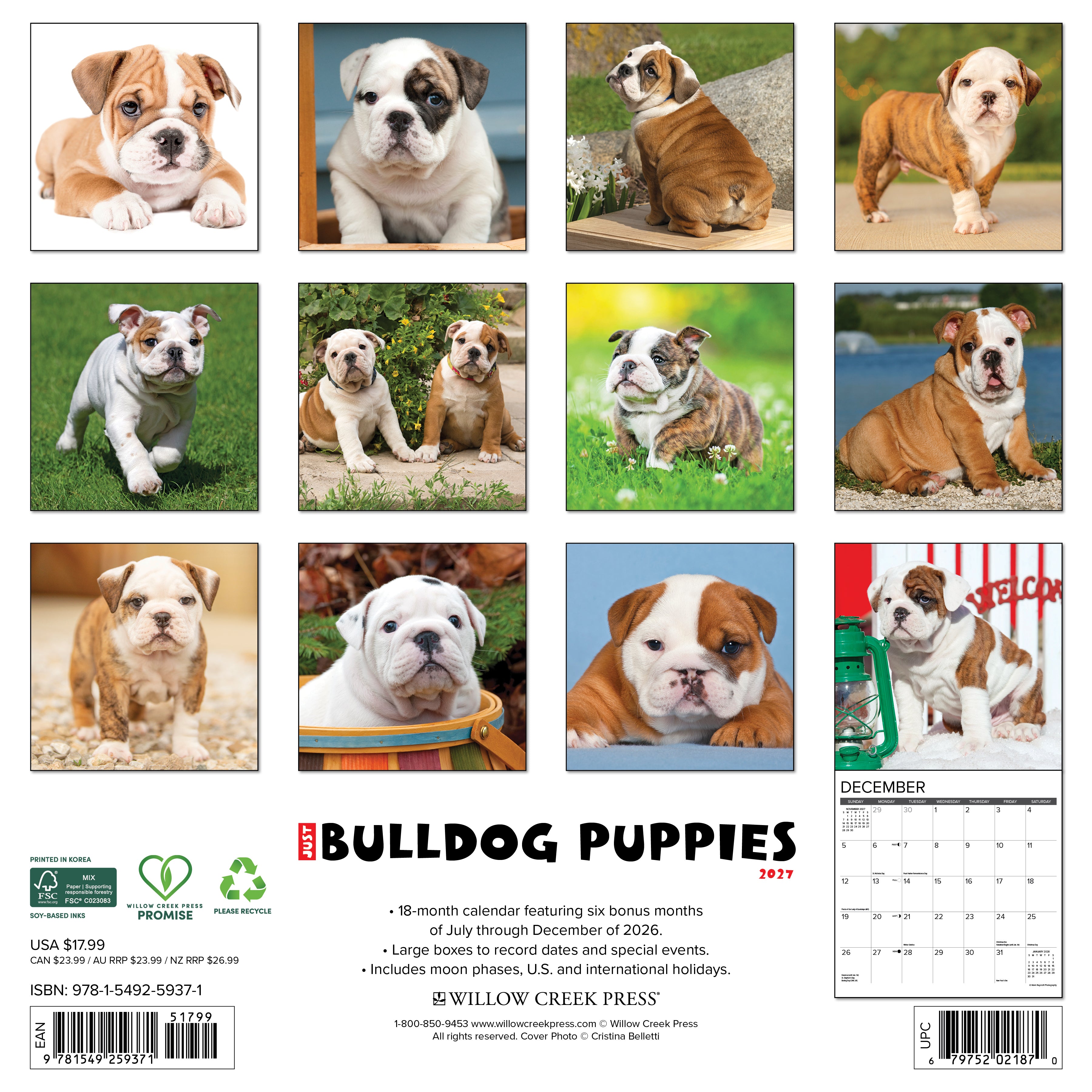 Willow Creek Press, Bulldog Puppies 2027 Wall Calendar