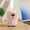 Rose, variante sur Danhjin Mini Humidificateur Mini Humidificateur Petit de Bureau Hydratation pour Bureau Maison Chambre Chambre de Bébé Appareils de Cuisine