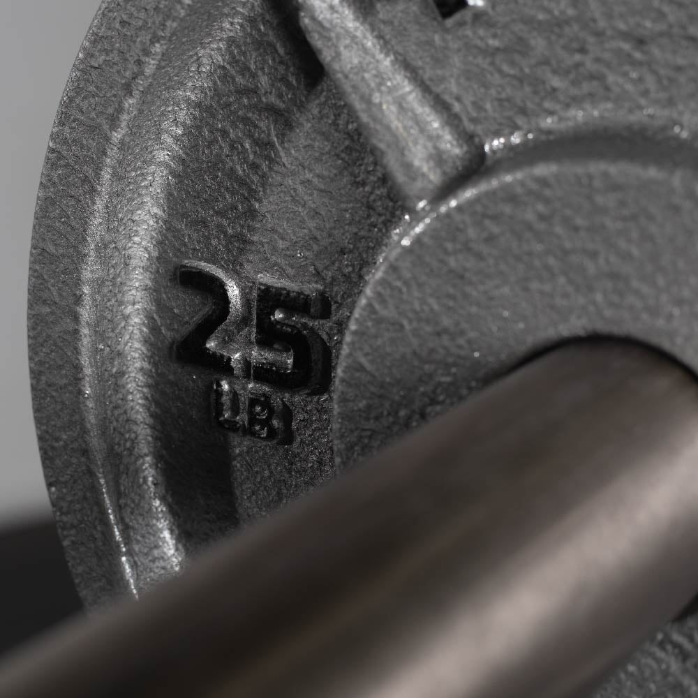 Titan Fitness 25 LB Cast Iron Olympic Plates, Sold In Pairs, Classic Weight Plate Design, Silver Hammer Finish