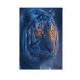 thumbnail image 6 of Birthday Party Garden Flags Outdoor Patio Decoration Flags 28x40in Blue Tiger, 6 of 6