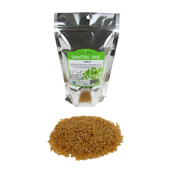 Organic Kamut Seed- 1 Lb- Kamut Grain Seeds- For Flour, Bread, Baking, Cooking, Food Storage, Sprouting