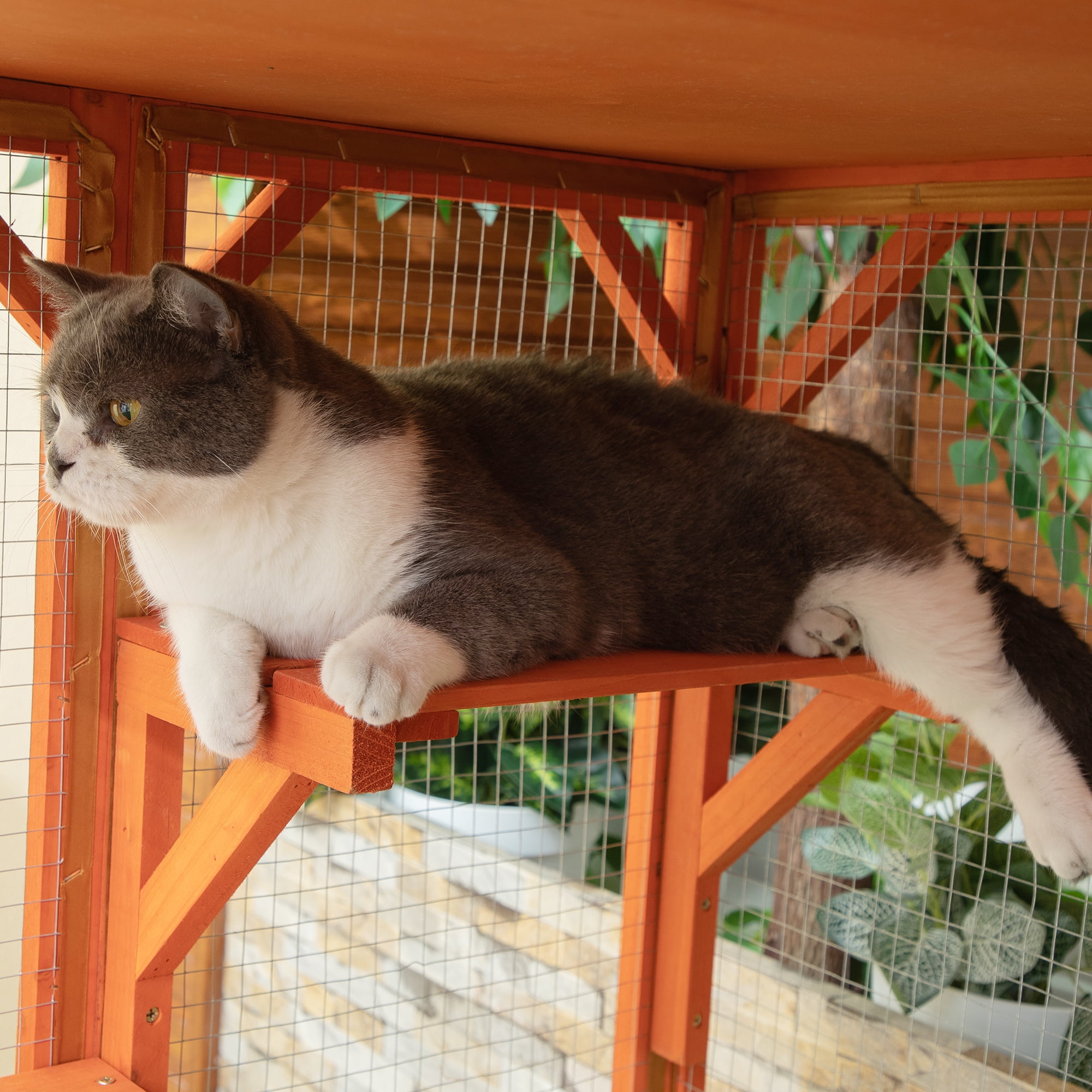 Coziwow Cat Enclosure Catio Cat House Cage Shelter Outdoor W/ Asphalt Roof, Orange