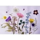 thumbnail image 2 of 12 piezas das hojas secas relleno de muestras de pntas para decoración de uña álbumes de recorte manu BLESIY Flores secas prensadas naturales, 2 of 8
