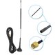 thumbnail image 3 of High quality XP-2.4G-004 2.4G super long vibrator sucker antenna 12DBI small, 3 of 5