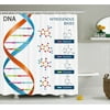 Educational Shower Curtain, DNA Bases Chemistry Biochemistry Biotechnology Science Spiral Symbol Genetic, Fabric Bathroom Set with Hooks, 69W X 84L Inches Extra Long, Multicolor, by Ambesonne