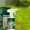 4pcs, variant on 2pcs Green Lawn Spray Grass, Paint Lawn Maintenance, Turf Colorants for Garden Yard，60ml