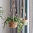 thumbnail image 5 of Kilisky 2pcs Woven Flower Basket Grass Wall Hanging Ornament Plant Pots 8in Diameter, 5 of 11