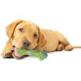 thumbnail image 4 of Nylabone Os à Mâcher pour Chiot en Dentition jusqu'à 35 Lb., 4 of 8