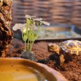 thumbnail image 4 of unbranded Adornos De Artificiales Para De Peces Y Reptiles Fácil Instalación Y Resistente, 4 of 6