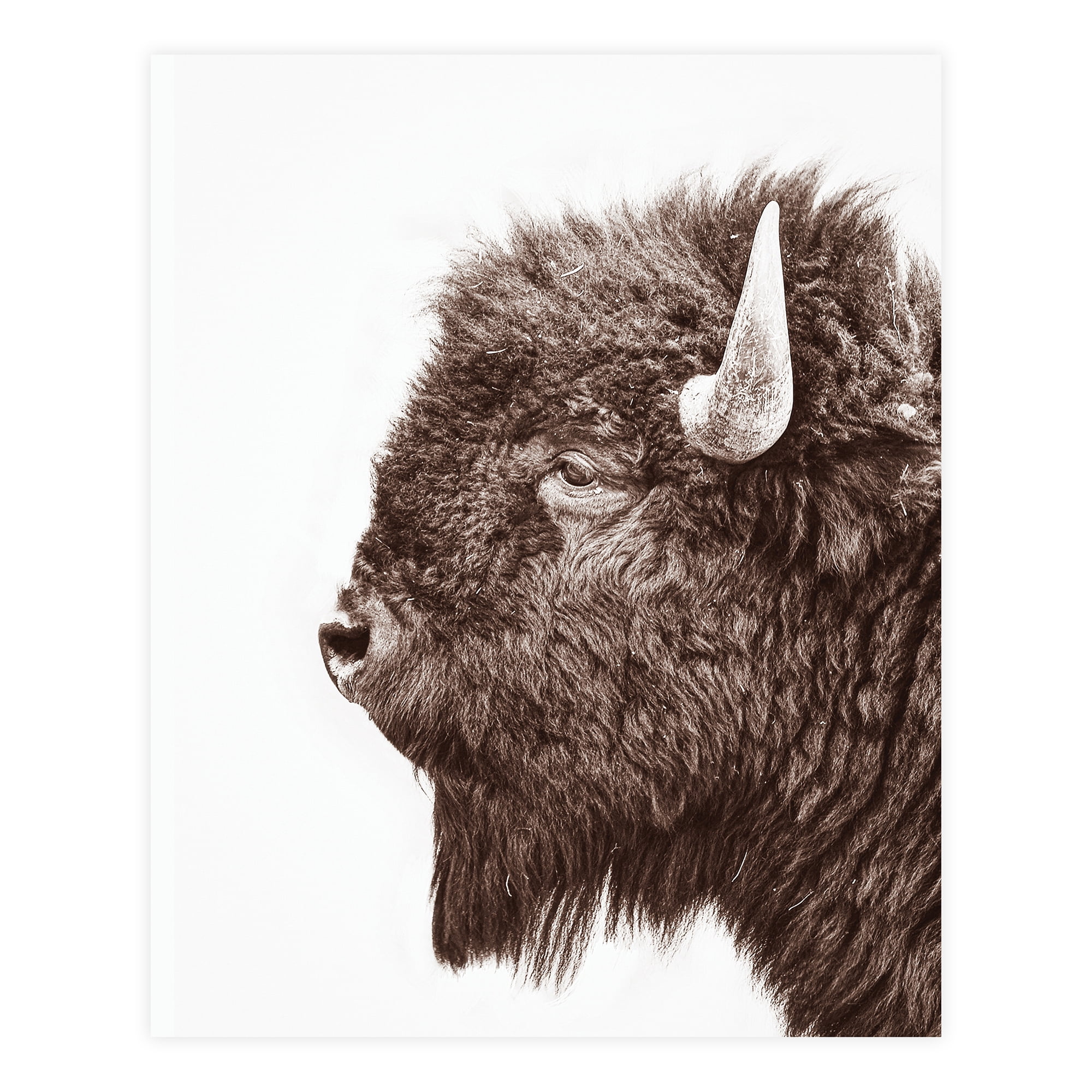 (2 pack) DesignOvation Forest Animals Unframed Art Prints 8” x 10” Set of 3 by Amy Peterson