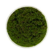 Better Homes & Gardens 8 Faux Moss in Ceramic Bowl