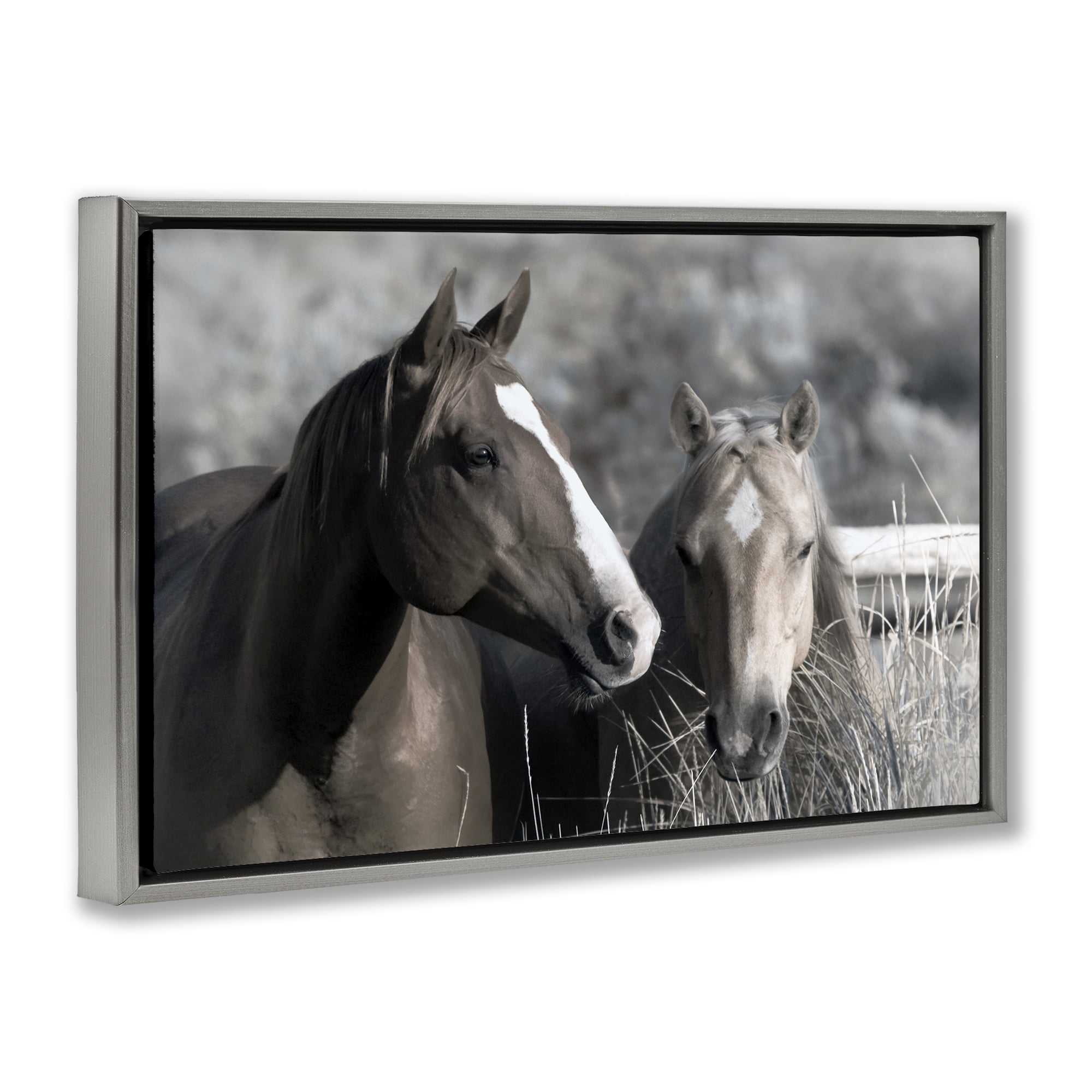 Stupell Industries Content Horses In Pasture Gray Framed Floater Canvas Wall Art, design by Danita Delimont