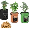 thumbnail image 1 of Potato , 5-pack 10 Gallon Vegetable Growing Plant Bags With Viewing, 1 of 5