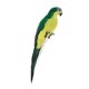 thumbnail image 2 of 2X Pájaro decorativo del pájaro del loro del guacamayo artificial con plumas Verde del pájaro emplumado Sunnimix Adorno de loro artificial, 2 of 8