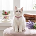 thumbnail image 3 of Rhinestone Pet Collar Crystal with Heart Pendant, Sparkling Jewelry for Cats and Small Dogs, Party Birthday Photo, 3 of 5