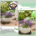thumbnail image 3 of GIXUSIL 10Pcs Square Plant Saucer 9 x 9 inch, Heavy Duty Plant Water Catcher Tray, Plastic Drip Trays for Potted Plants, Plant Trays for Indoors Outdoor No Holes(Black,1.26 Inch Deep ), 3 of 6