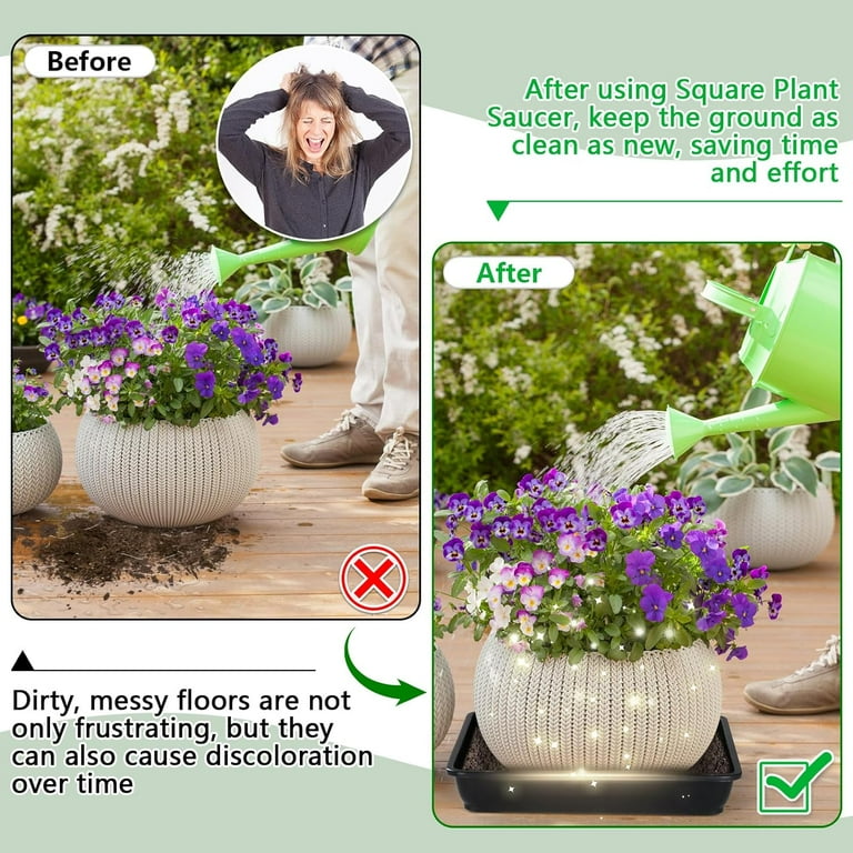 hanging terrarium plants Hanging Terrarium Heart Trellis Arrangement Kit
