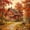 Maple Leaf Cabin01, variant on Winding Path Floral Church Garden Framed Wall Art, Solid Wood Frame Pastoral Countryside Oil Print, Farmhouse Botanical Wall Decor for Entryway Kitchen, 12x16in