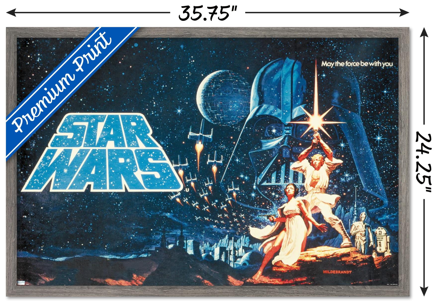 ☆Maxwell☆ R&B Soul Poster ポスター Tom William Chantrell, Star Wars , 1977 | Rock Paper Film